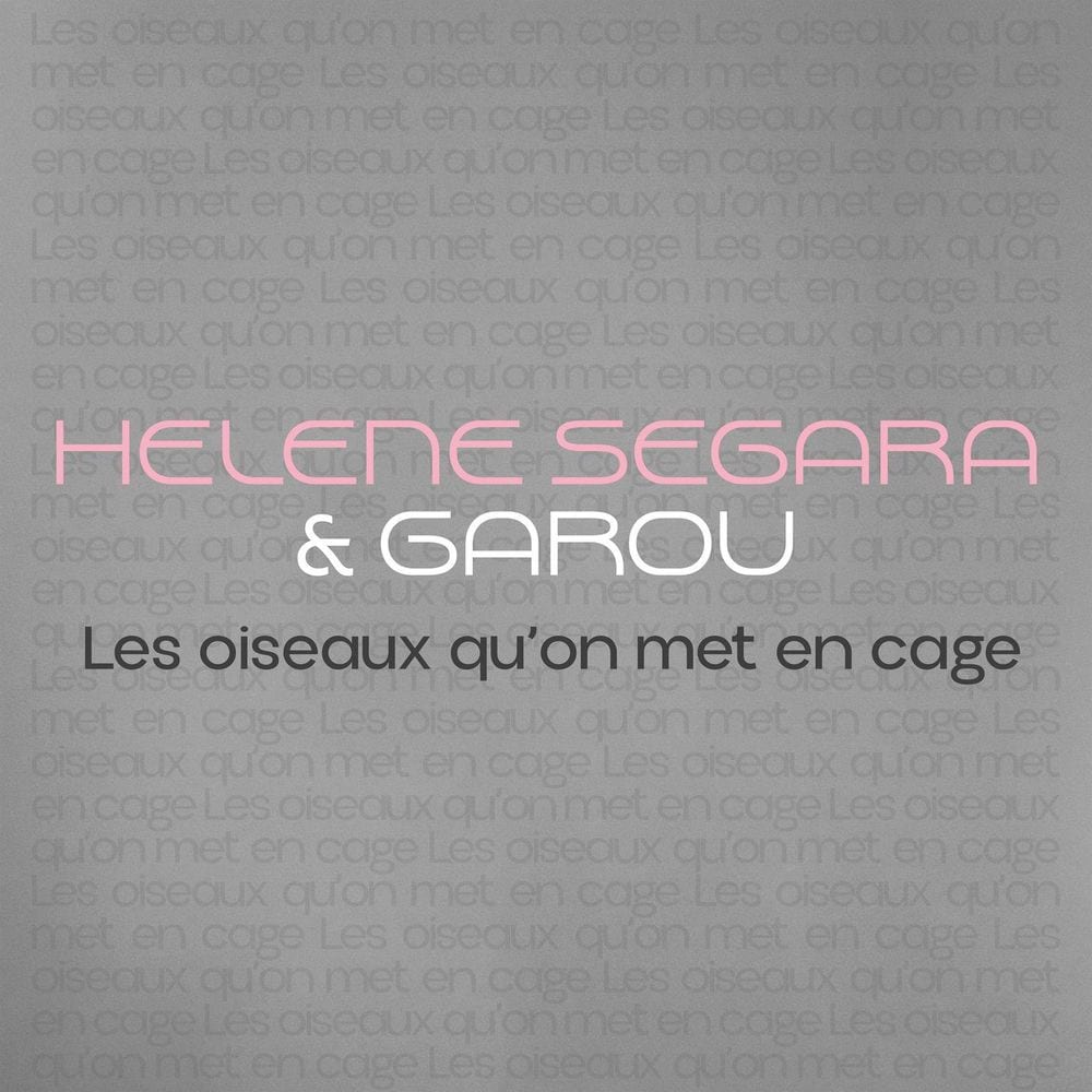 Les oiseaux qu'on met en cage (Notre-Dame de Paris) cover