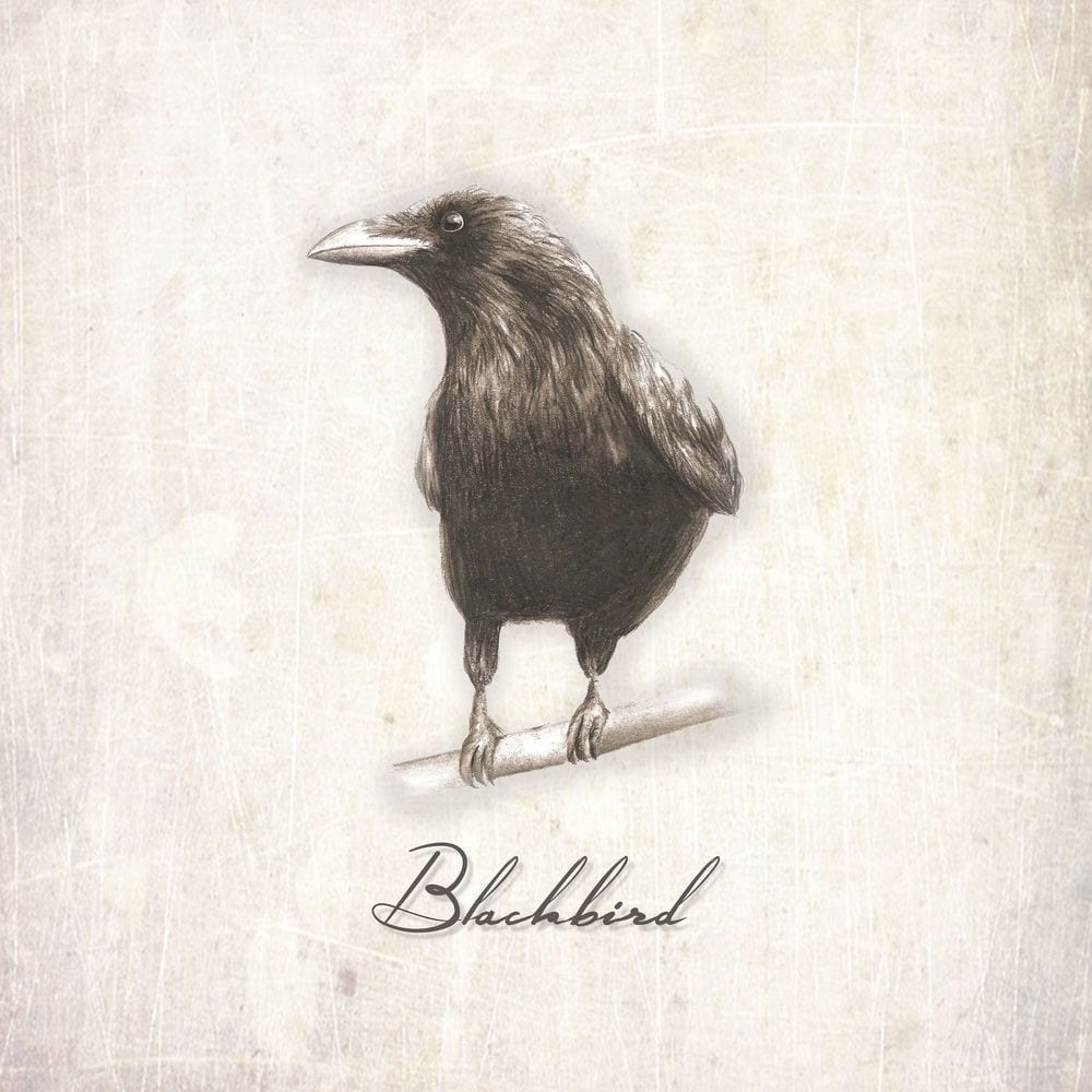 Blackbird cover