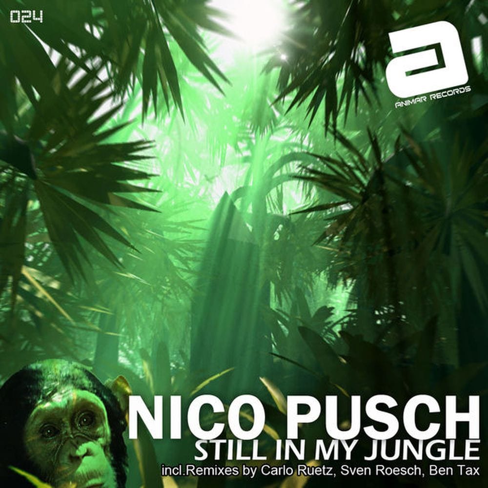 Nico Pusch - Still in my Jungle (MP3 Single) cover