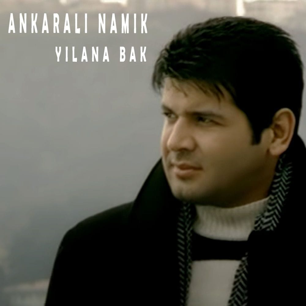 Yılana Bak cover