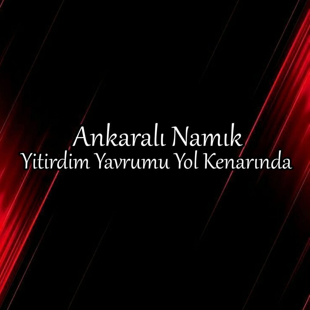 Yitirdim Yavrumu Yol Kenarında cover