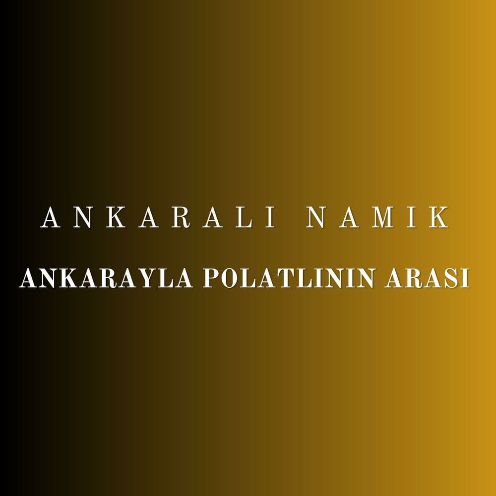 Ankarayla Polatlının Arası cover