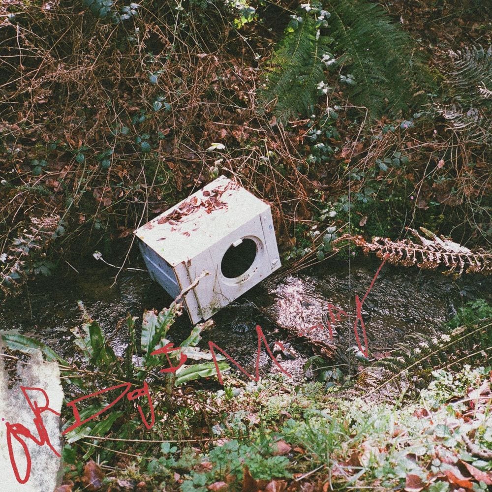 OURDOGISMISSING cover