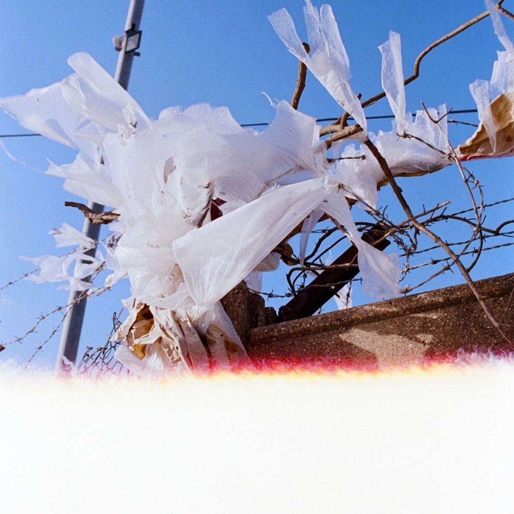 Blonde E.P cover