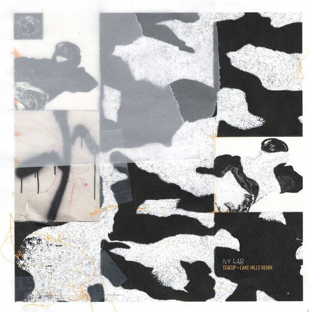 Teacup (Lake Hills Remix) cover