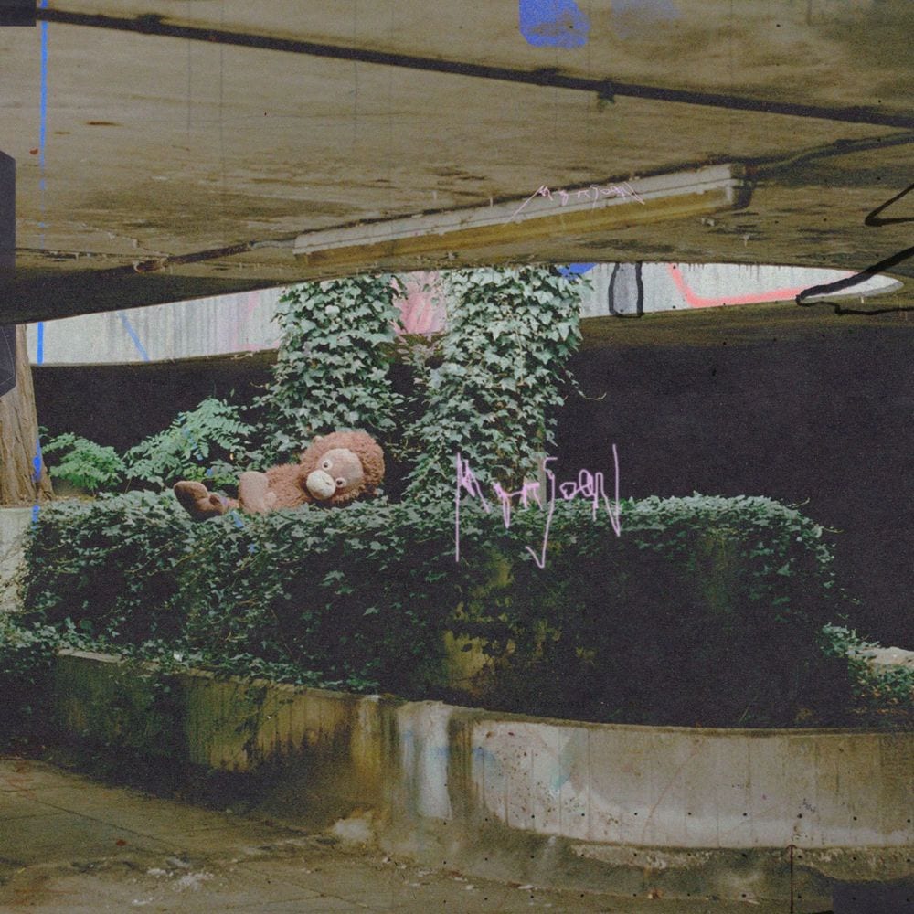 Monsoon cover