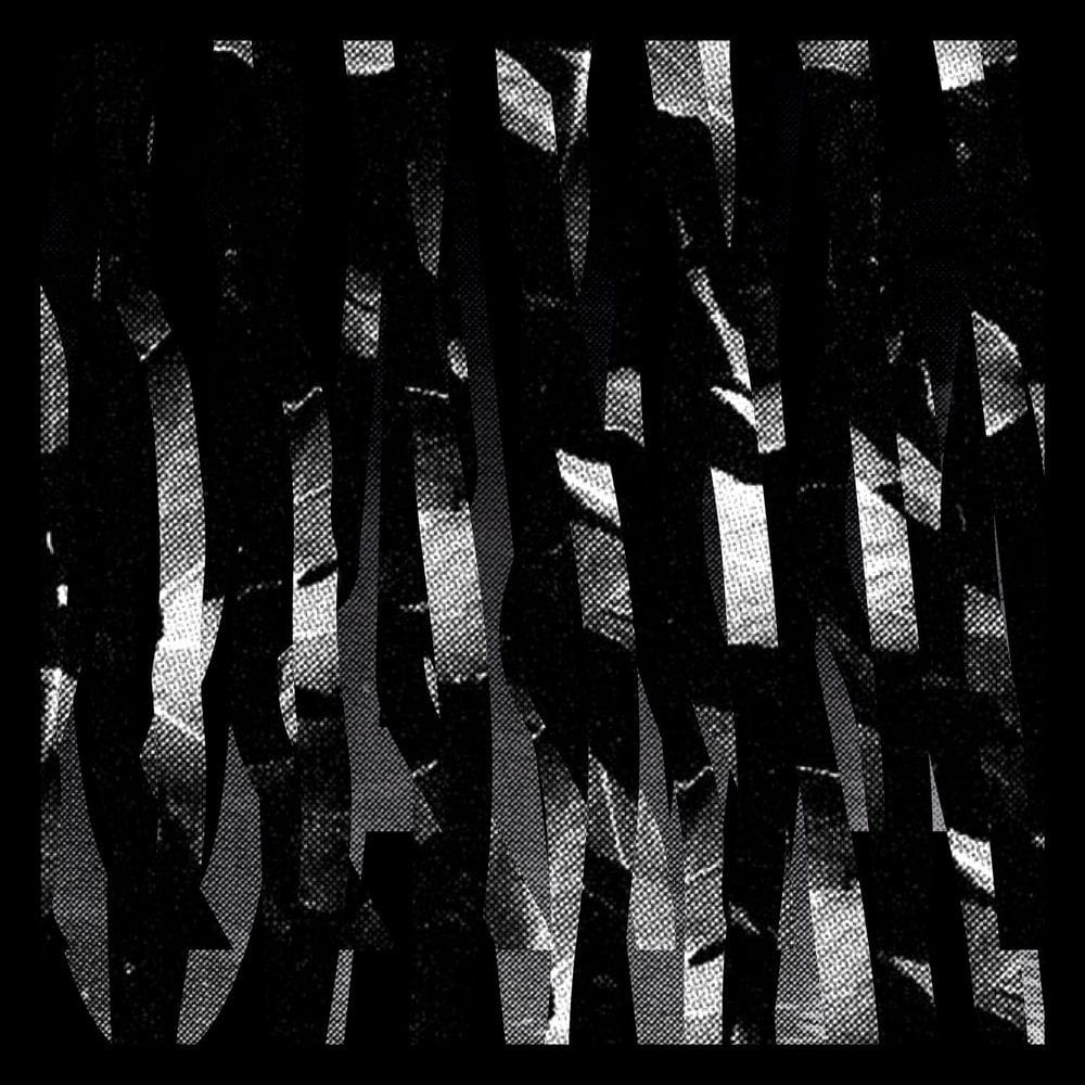 Cava cover