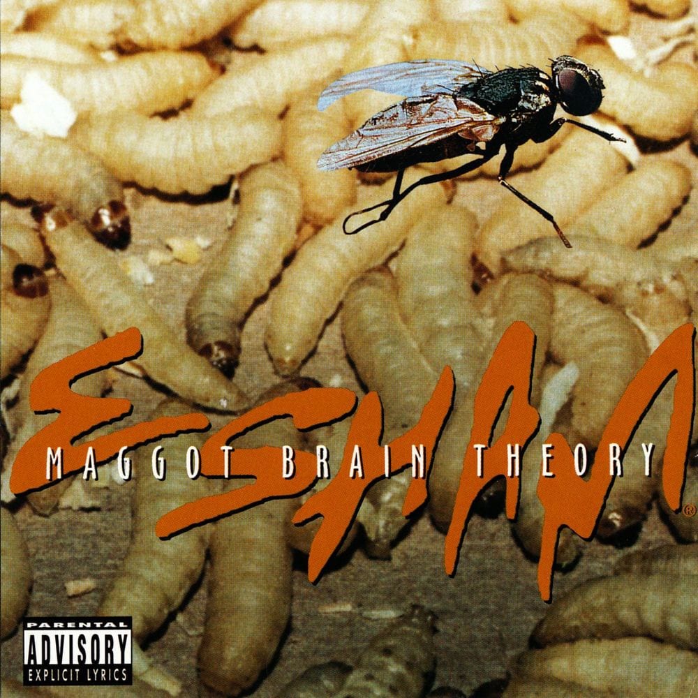 Maggot Brain Theory cover