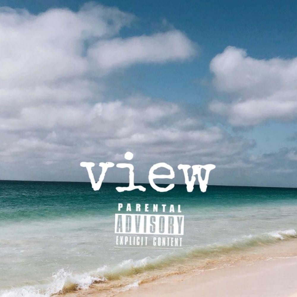 View cover