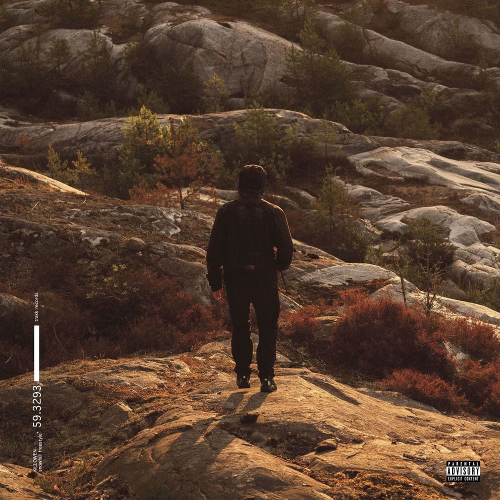 snowfall freestyle* cover