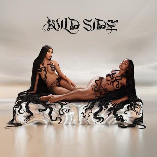 Wild Side (feat. Cardi B) cover