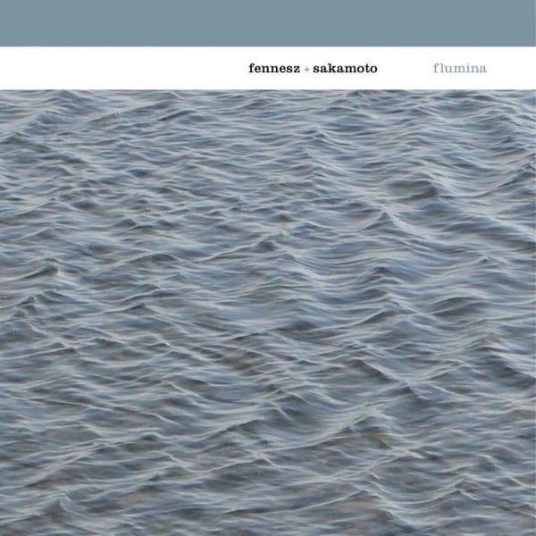 Flumina album cover