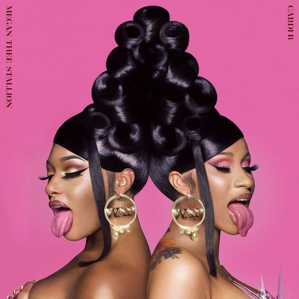 WAP (feat. Megan Thee Stallion) cover