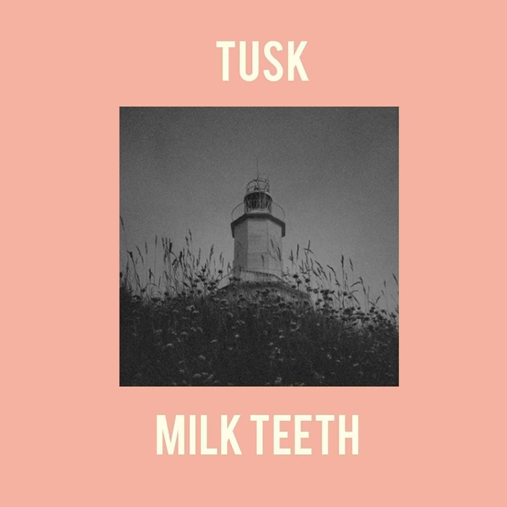 Milk Teeth cover