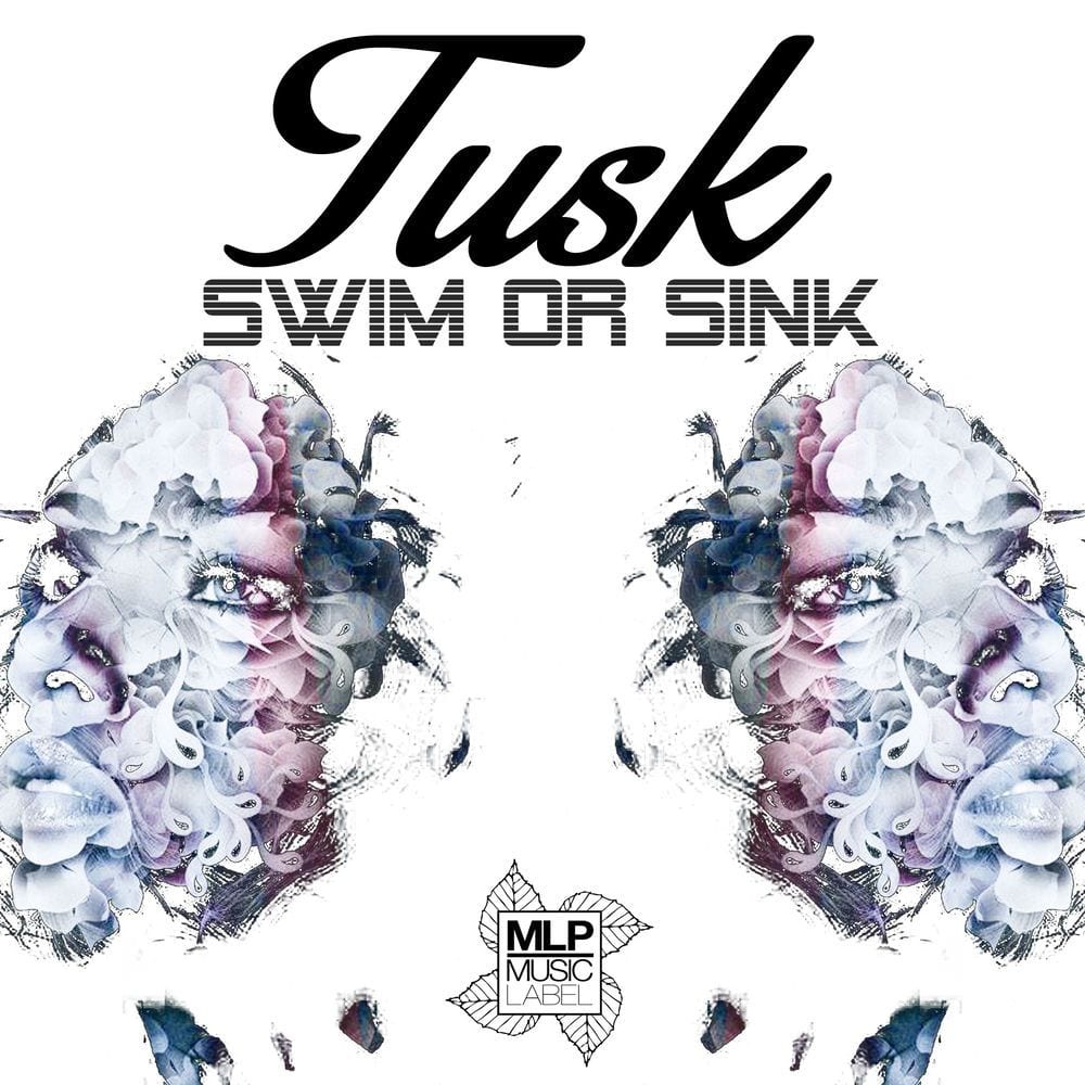 Swim or Sink cover
