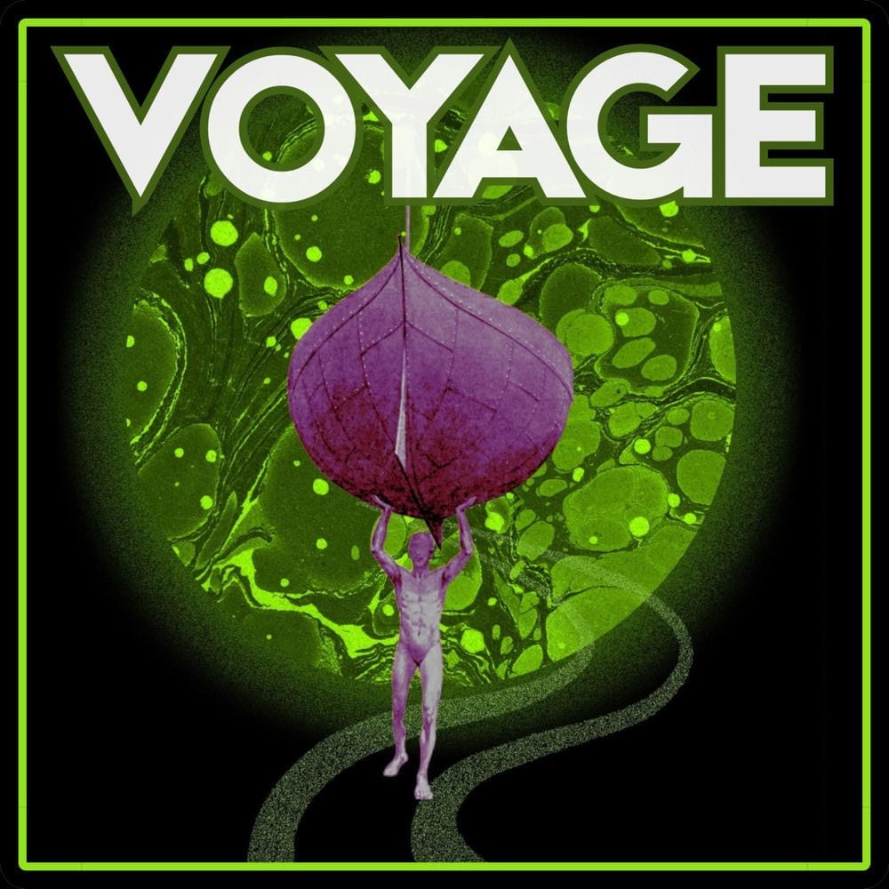 Voyage cover