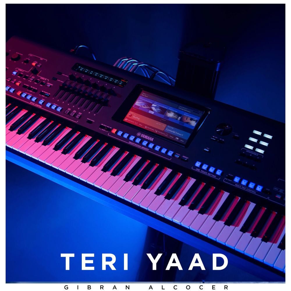 Teri Yaad cover