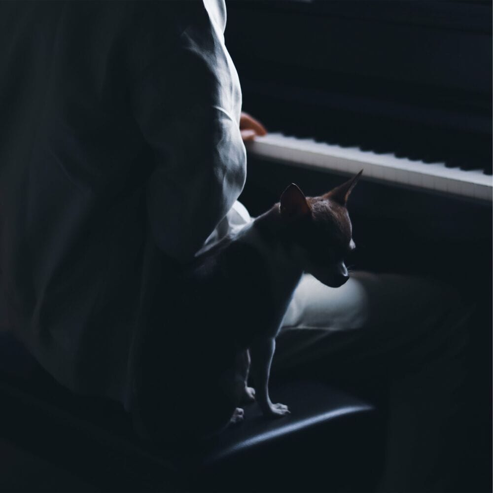 Idea 22 (Remixes) cover