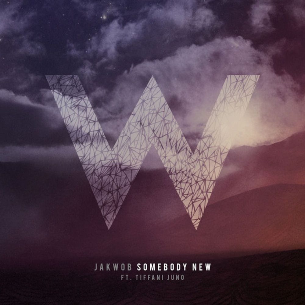 Somebody New cover