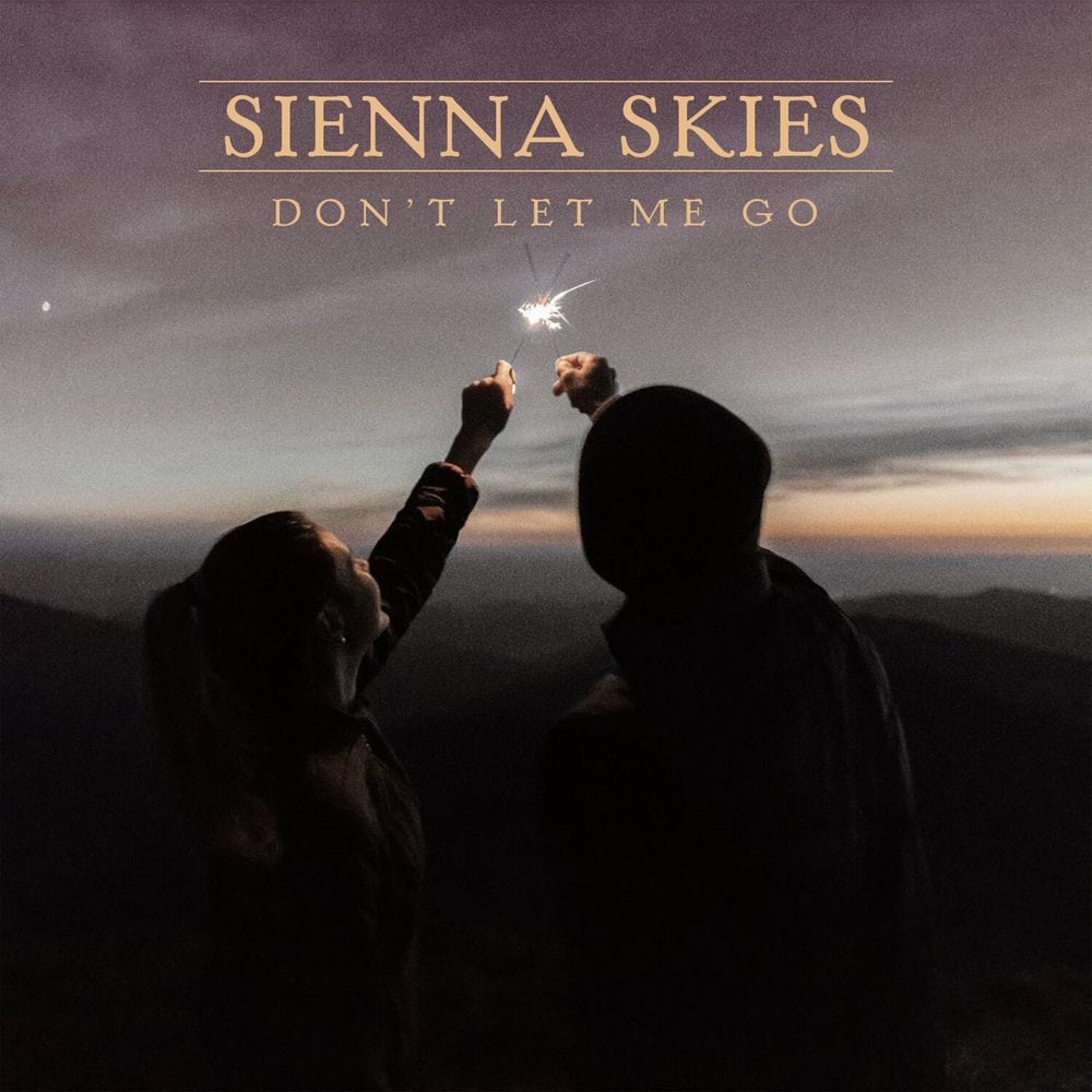 Don't Let Me Go cover