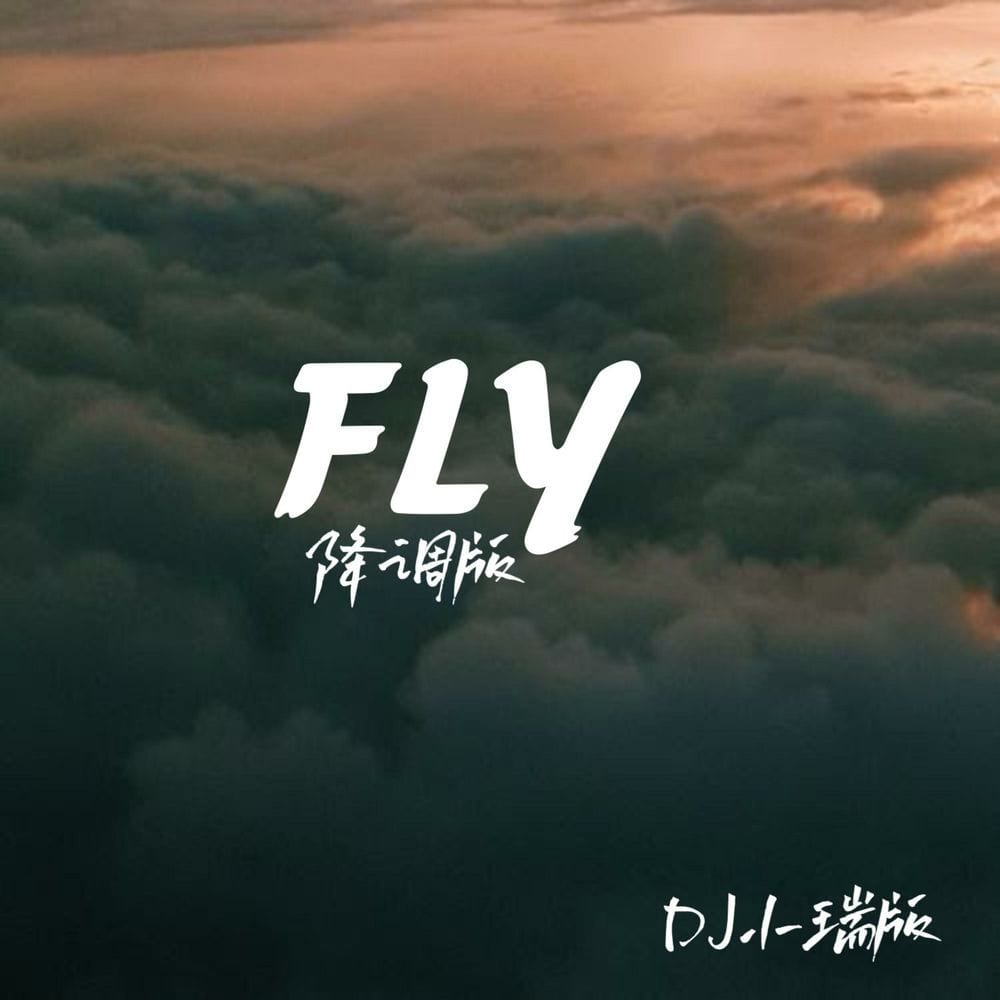 Fly (降调版) cover