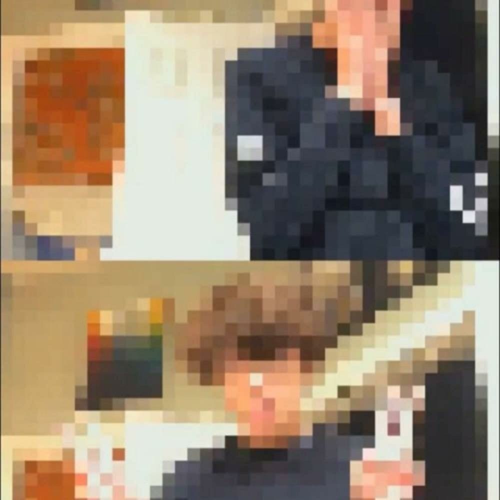lose again cover