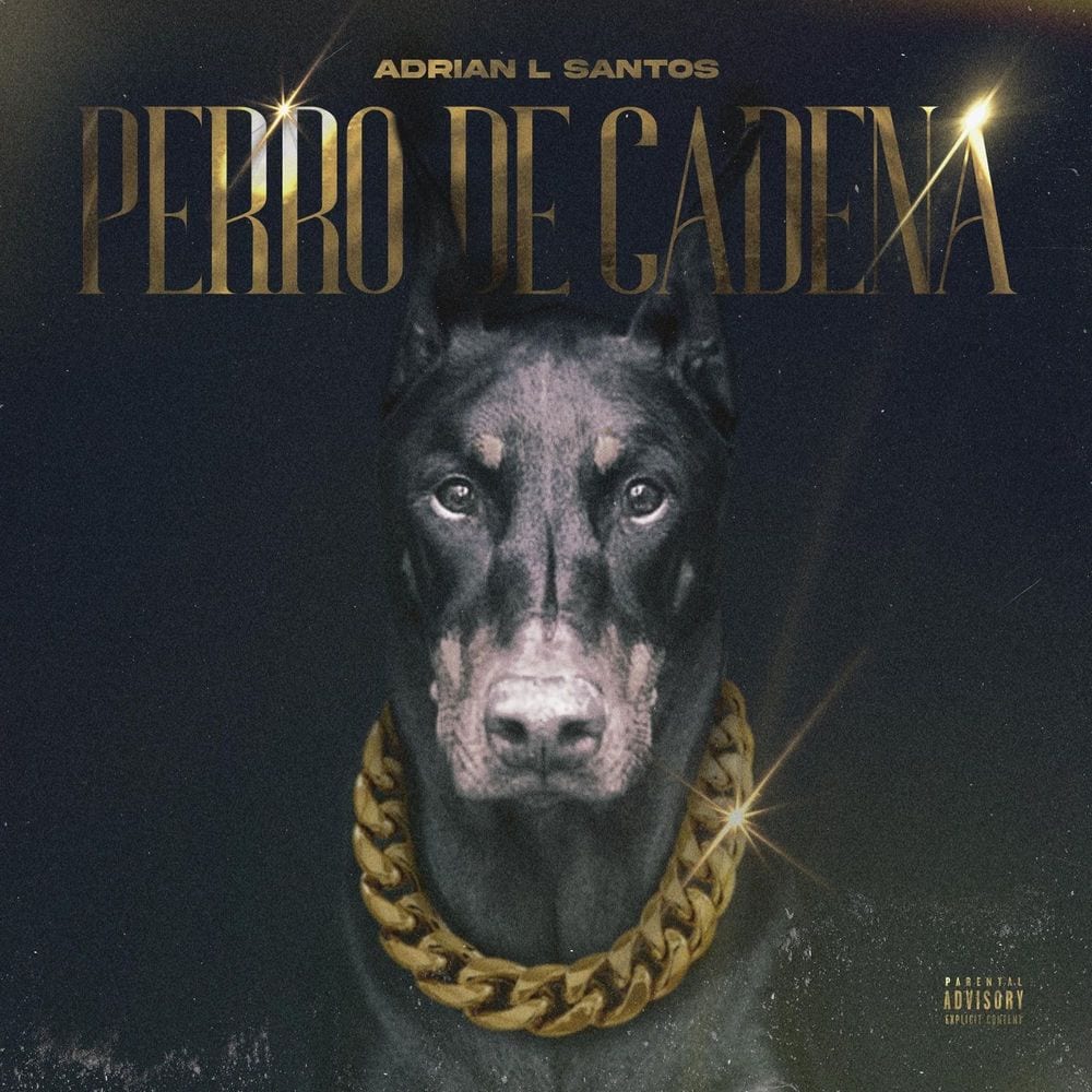 Perro De Cadena cover