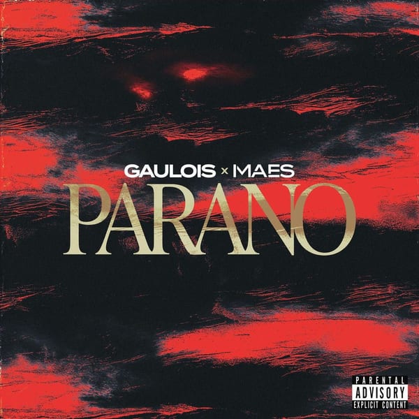 PARANO (feat. Maes) cover