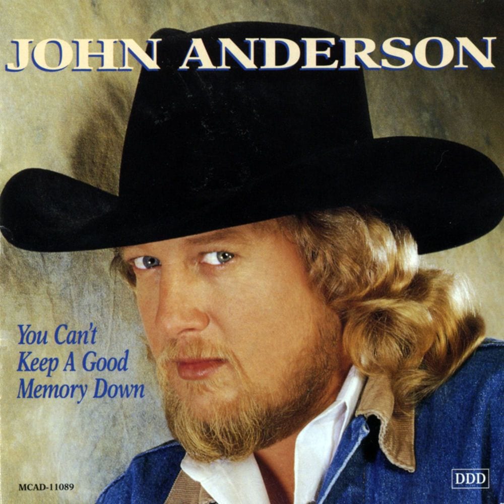 You Can't Keep A Good Memory Down cover