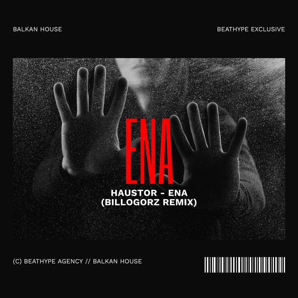 Ena (BilloGorz Remix) cover