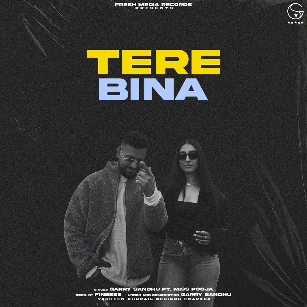 Tere Bina cover