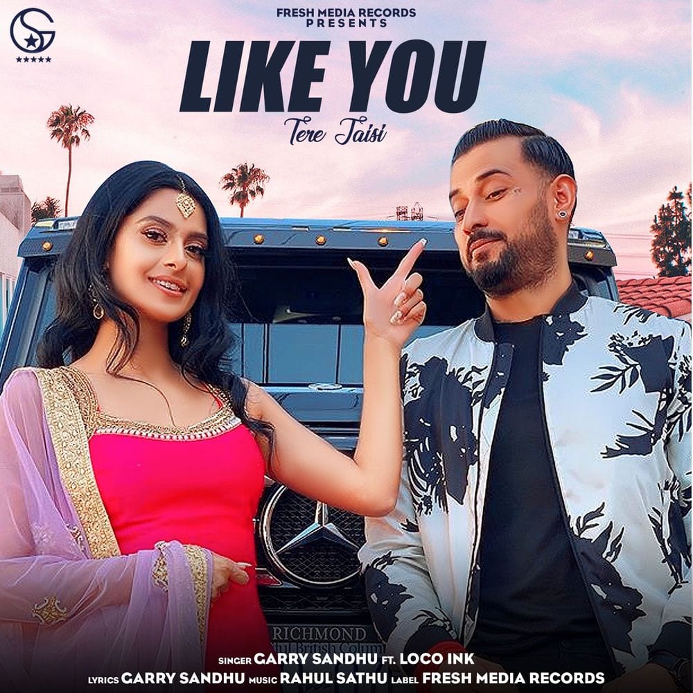 Like You (Tere Jaisi) cover