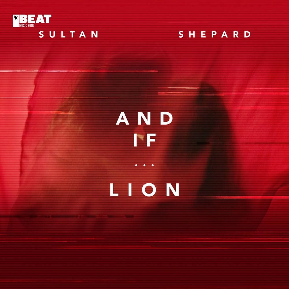 And If... / Lion cover