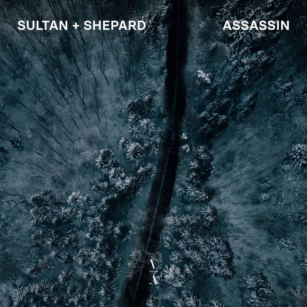 Assassin cover