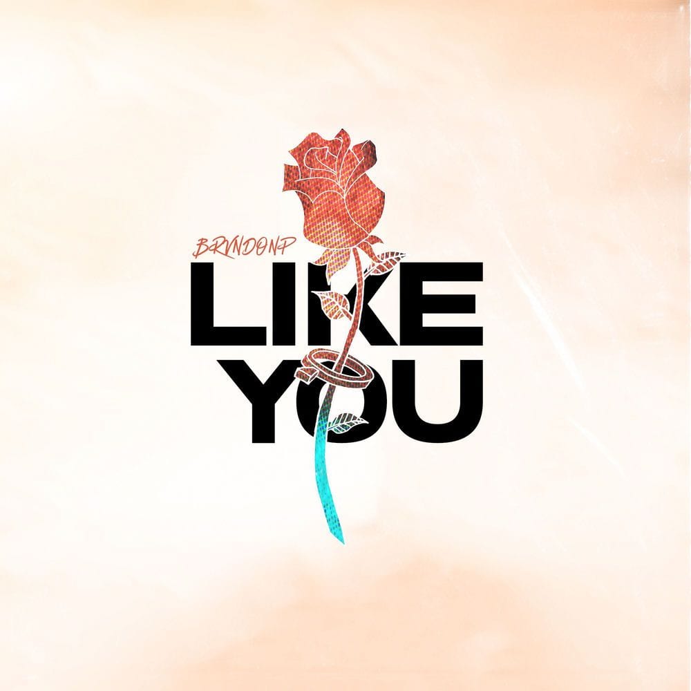 Like You cover