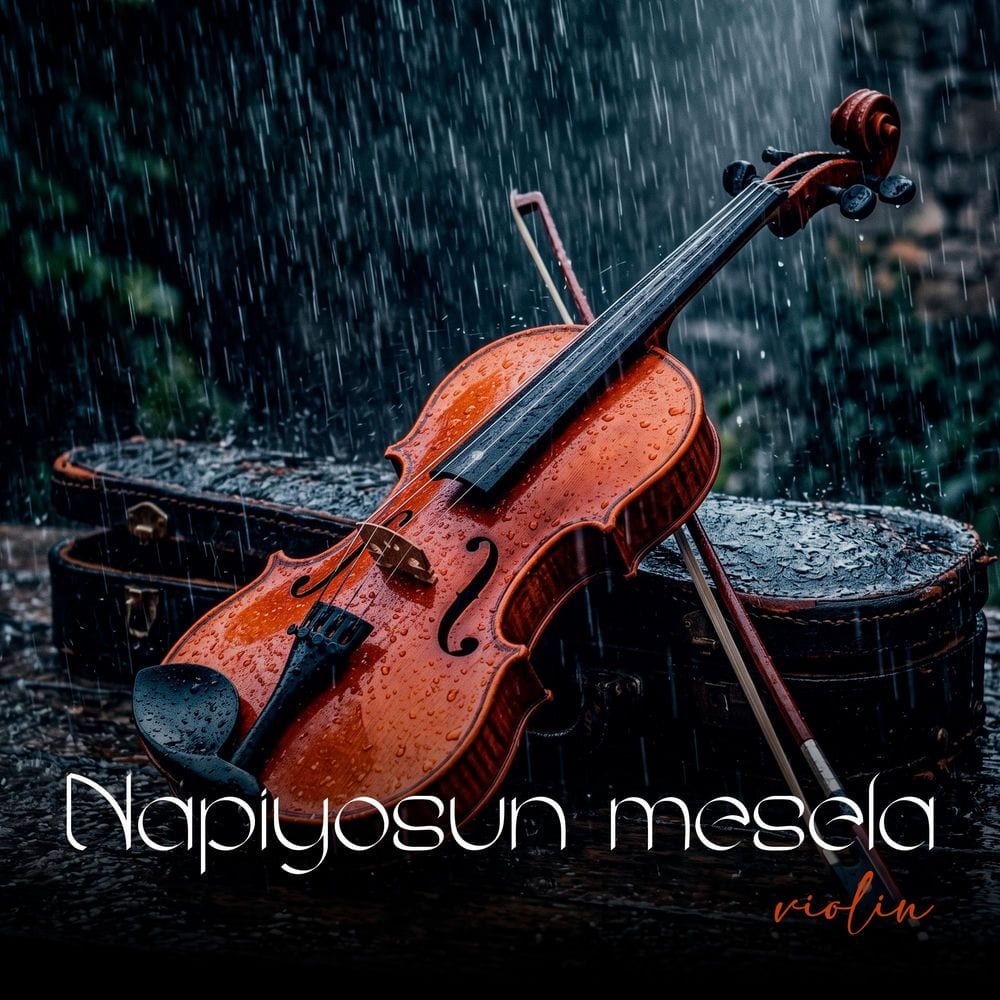 Napiyosun mesela (Violin) (Special Version) cover
