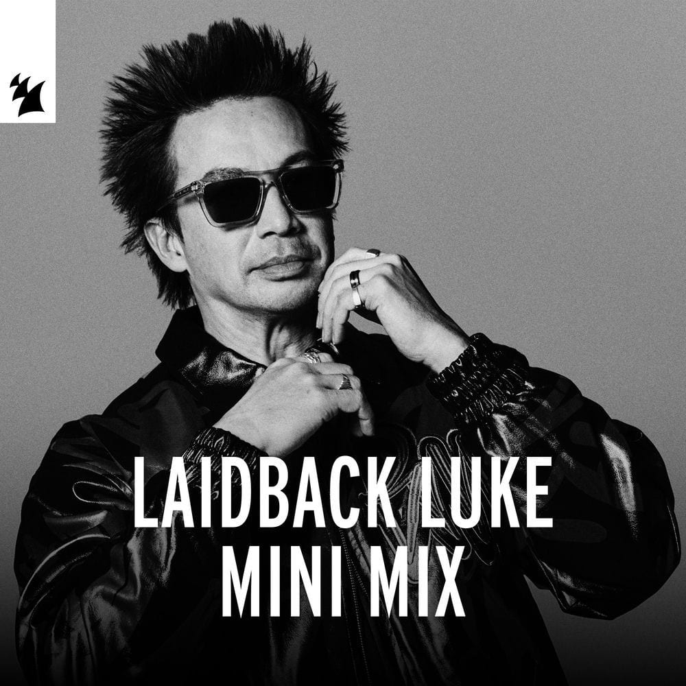 Laidback Luke Mini Mix cover
