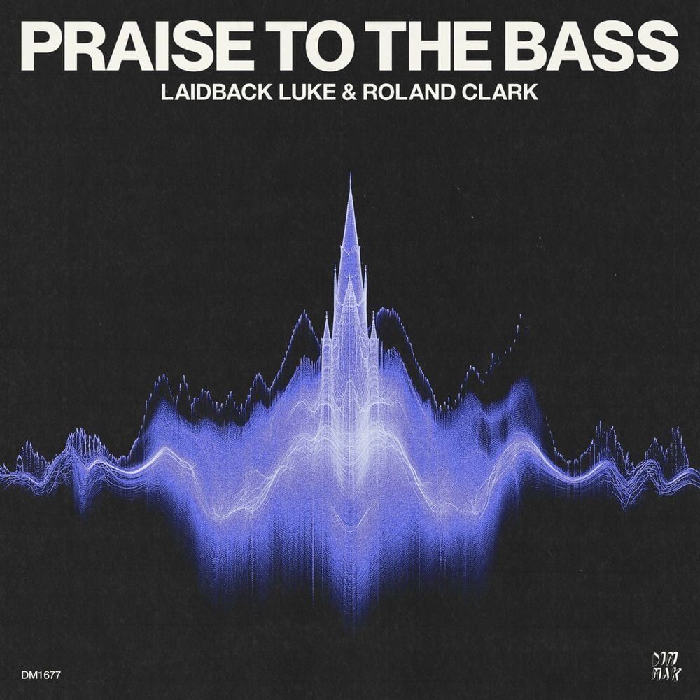 Praise To The Bass cover