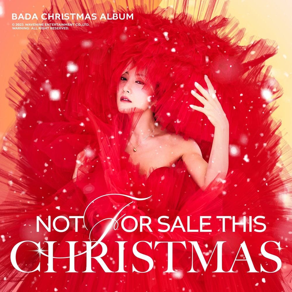Not for sale this christmas cover