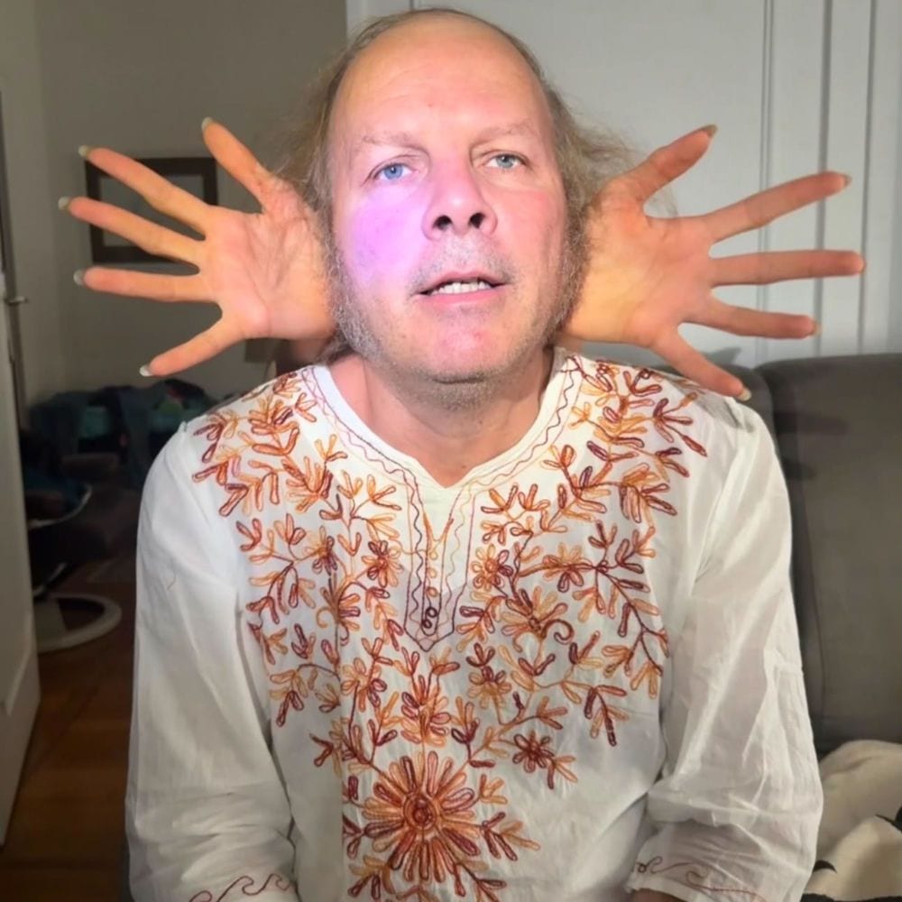 Je te donnerais cover