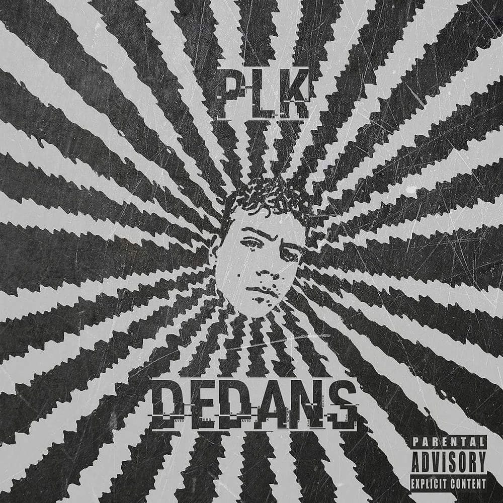 Dedans cover