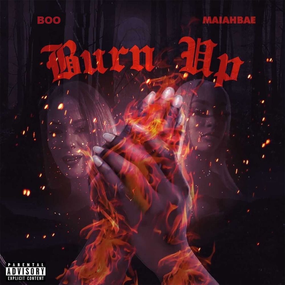 Burn Up cover