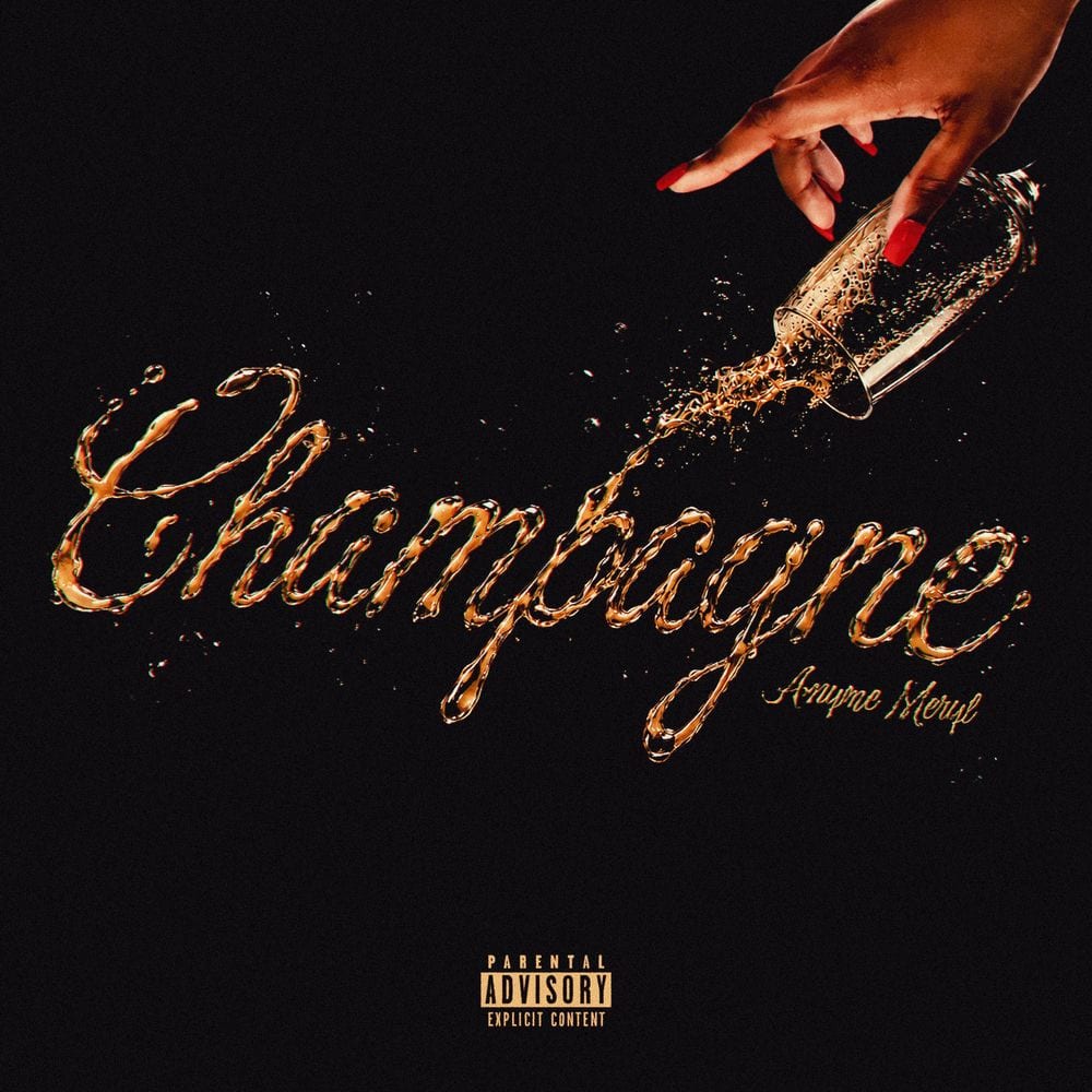 Champagne cover