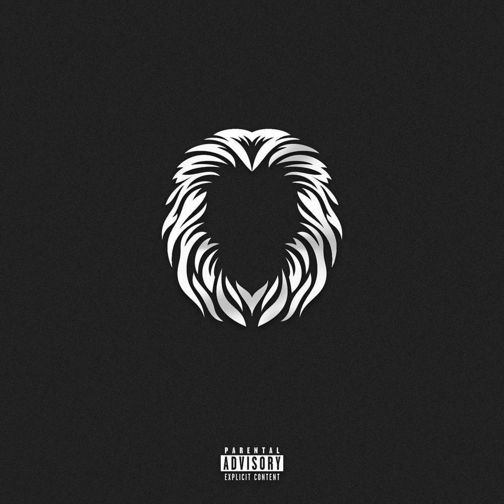 Lions cover