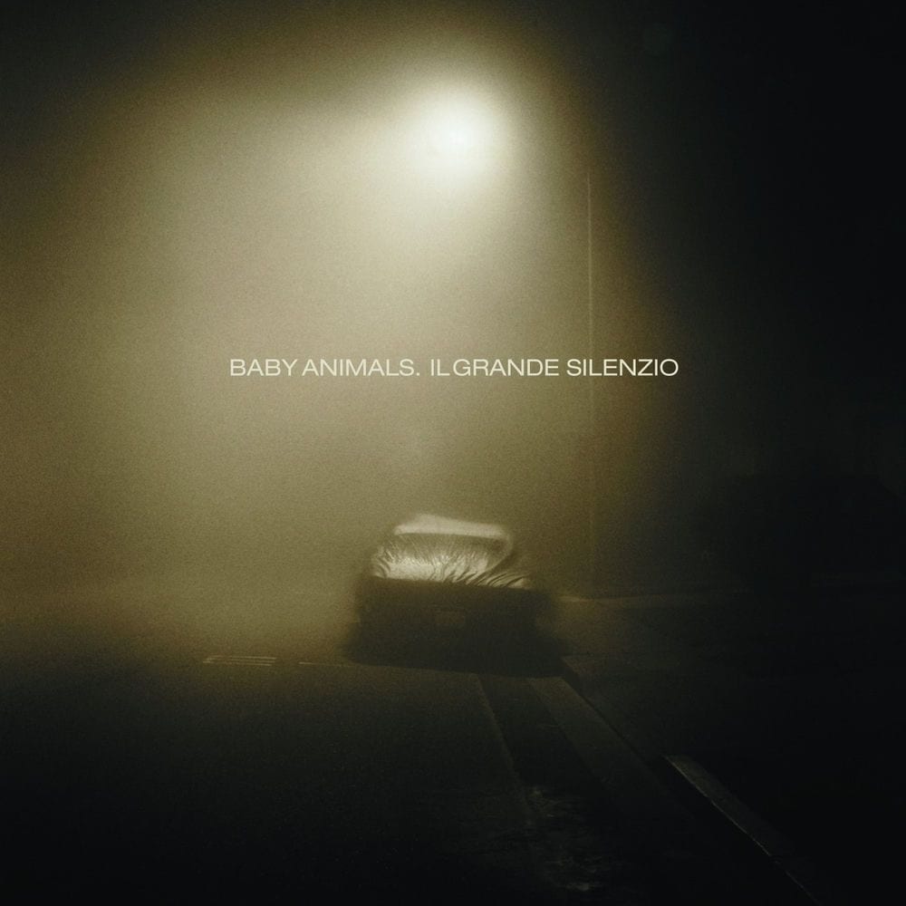 Il grande silenzio cover