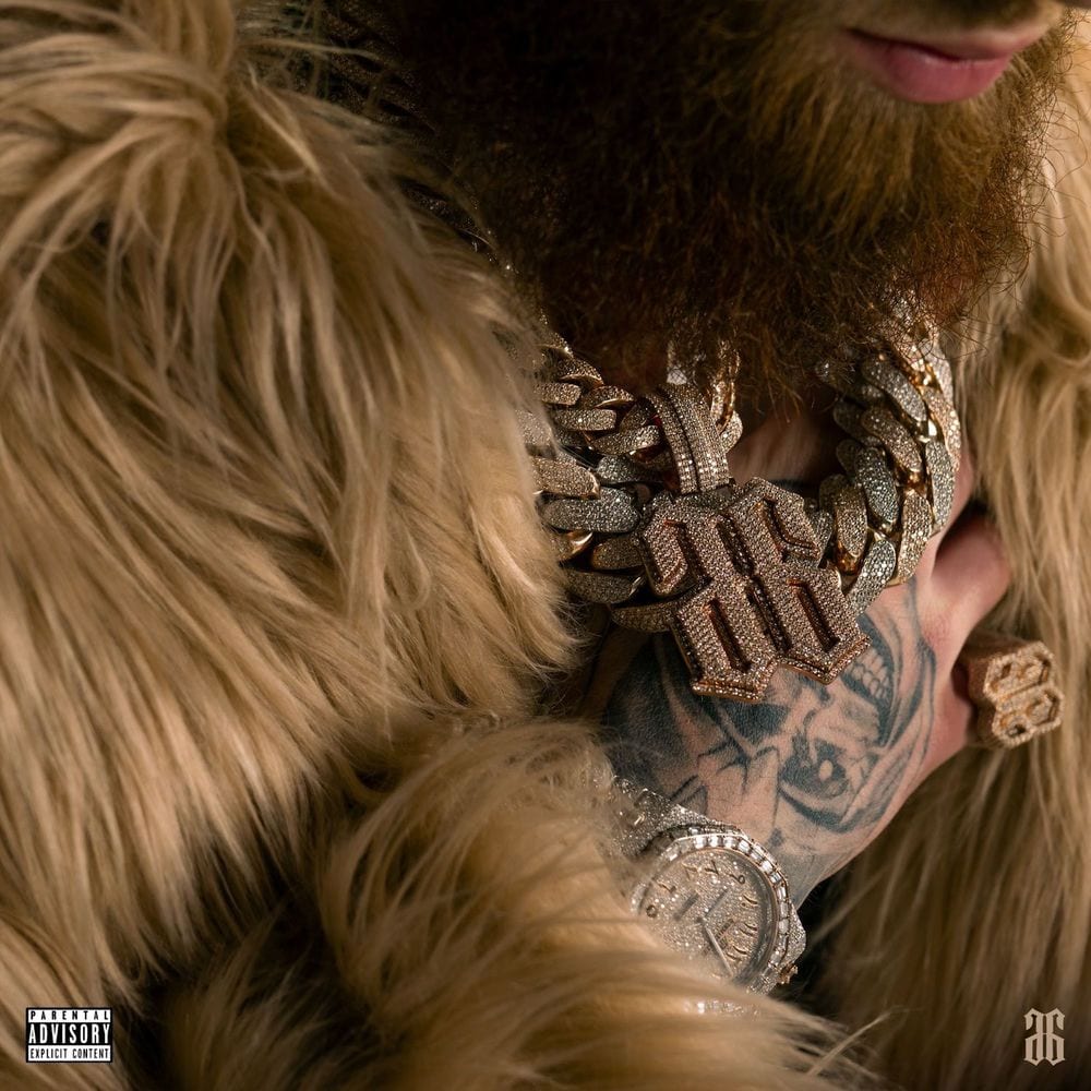 El SEI66EIS cover