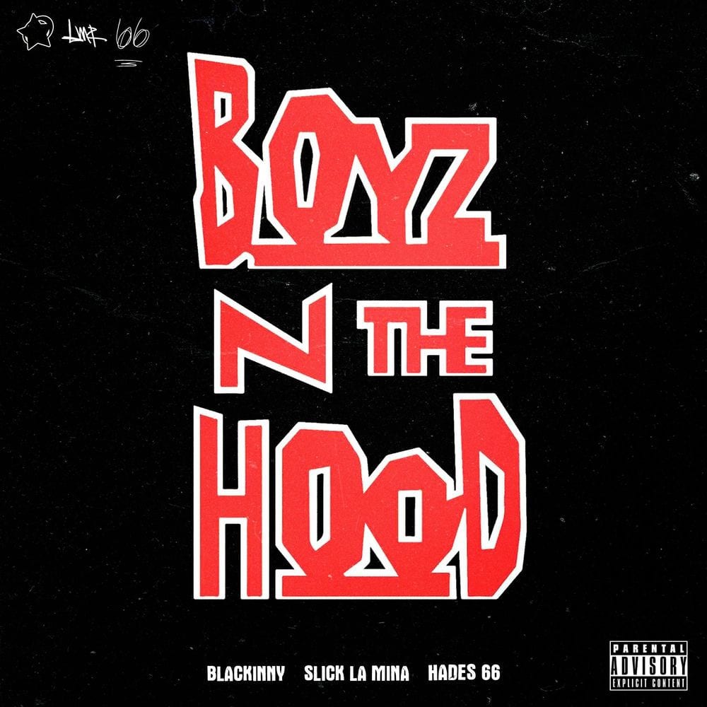 BOYZ N THE HOOD cover