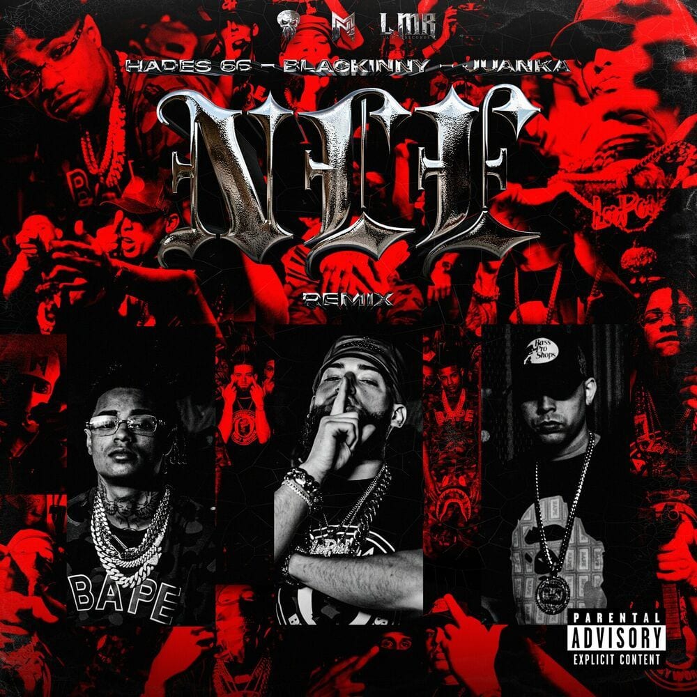 NLE (Remix) cover