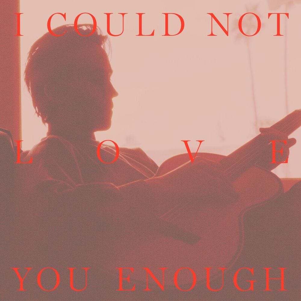 I Could Not Love You Enough cover