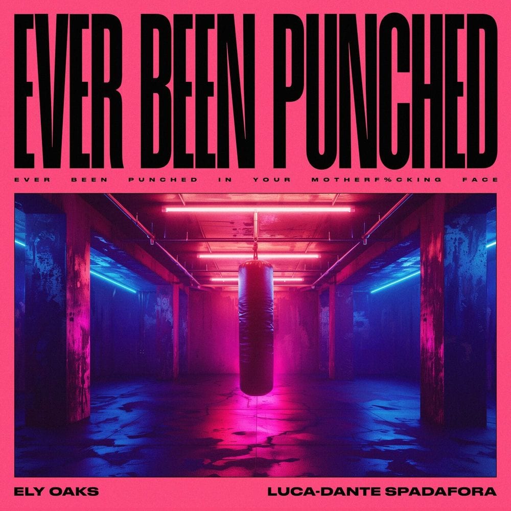 Ever Been Punched cover